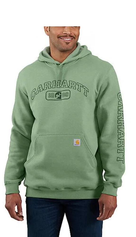 Carhartt Loose Fit Hoodie with Shamrock Graphic