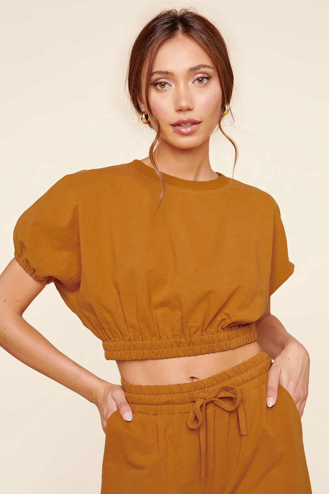 Deanna Dolman Puff Sleeve French Terry Knit Crop Top