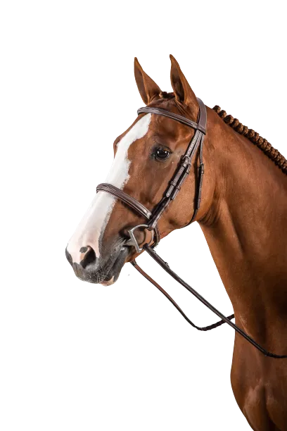 Dy'on Hunter Cavesson Noseband Bridle - USKDAJ