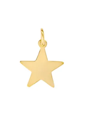 HART     Small Flat Star Charm