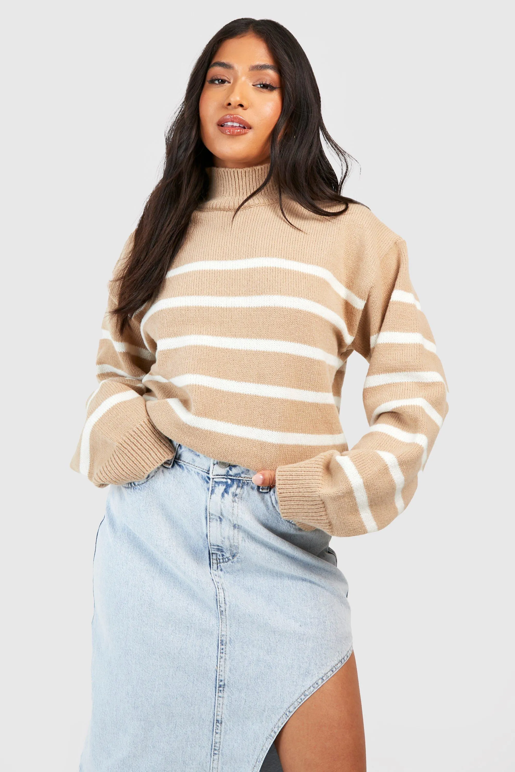 Jumpers & Cardigans | Petite Stripe Roll Neck Jumper | boohoo