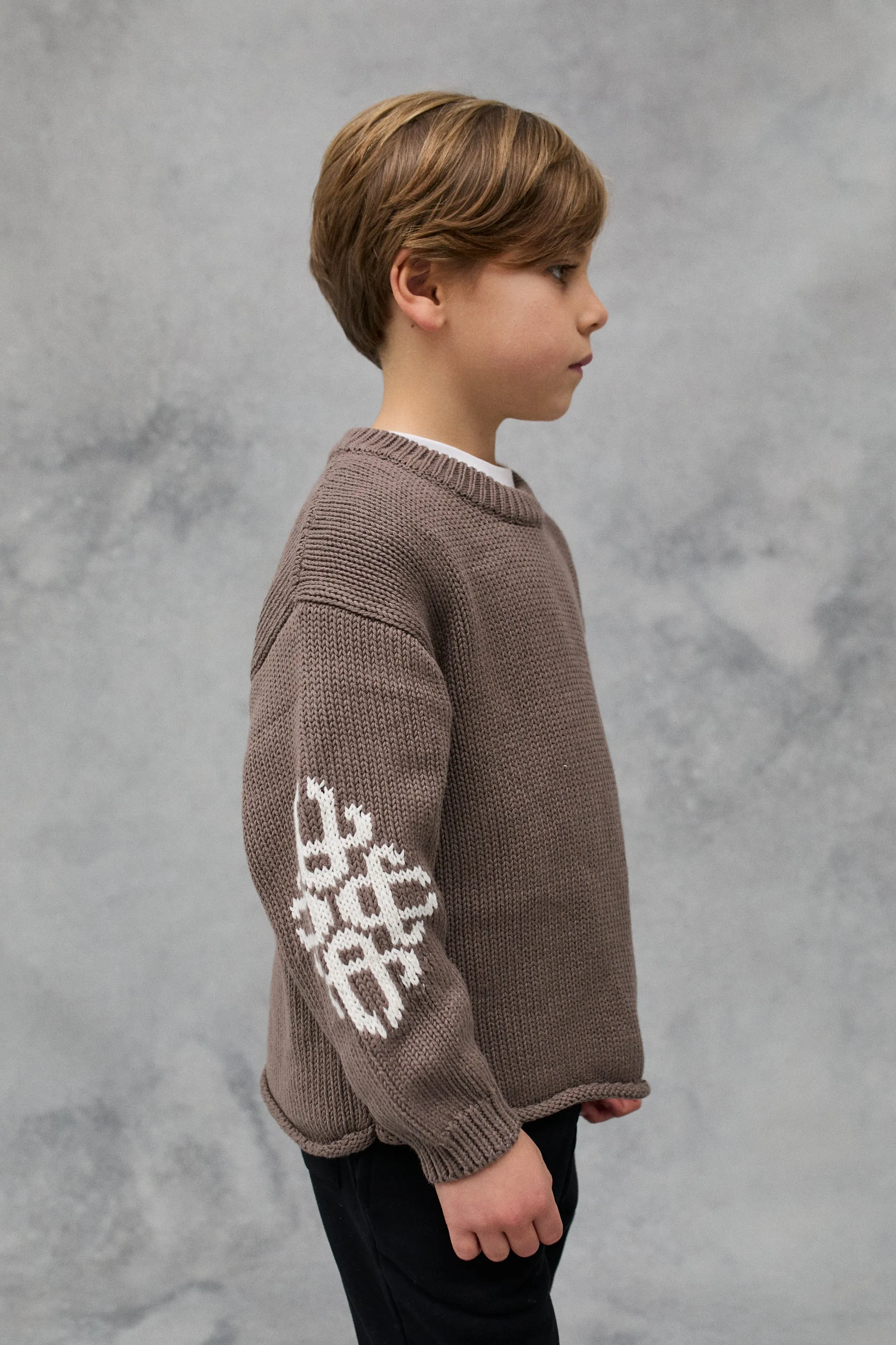 KIDS CHUNKY KNIT EMBLEM JUMPER - BROWN