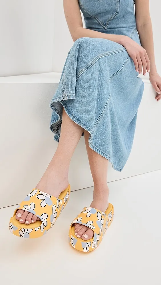 Melissa   Free Print Platform Slides 