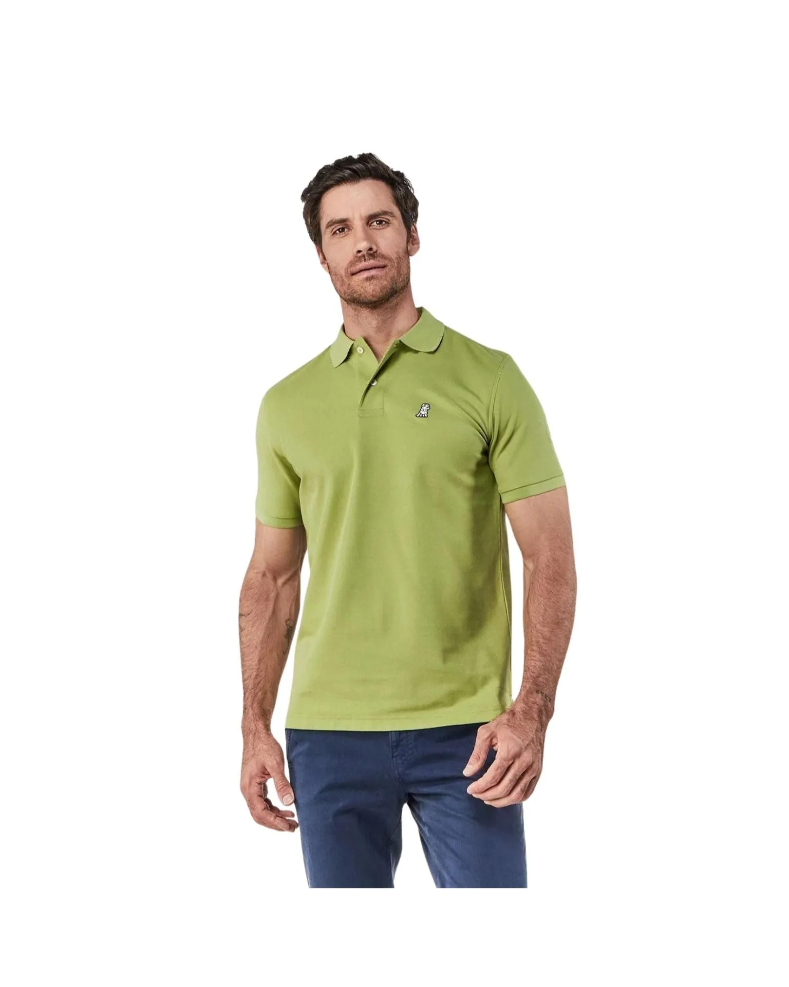 Men's Regular Fit Polo Shirt - Spinach Green A11