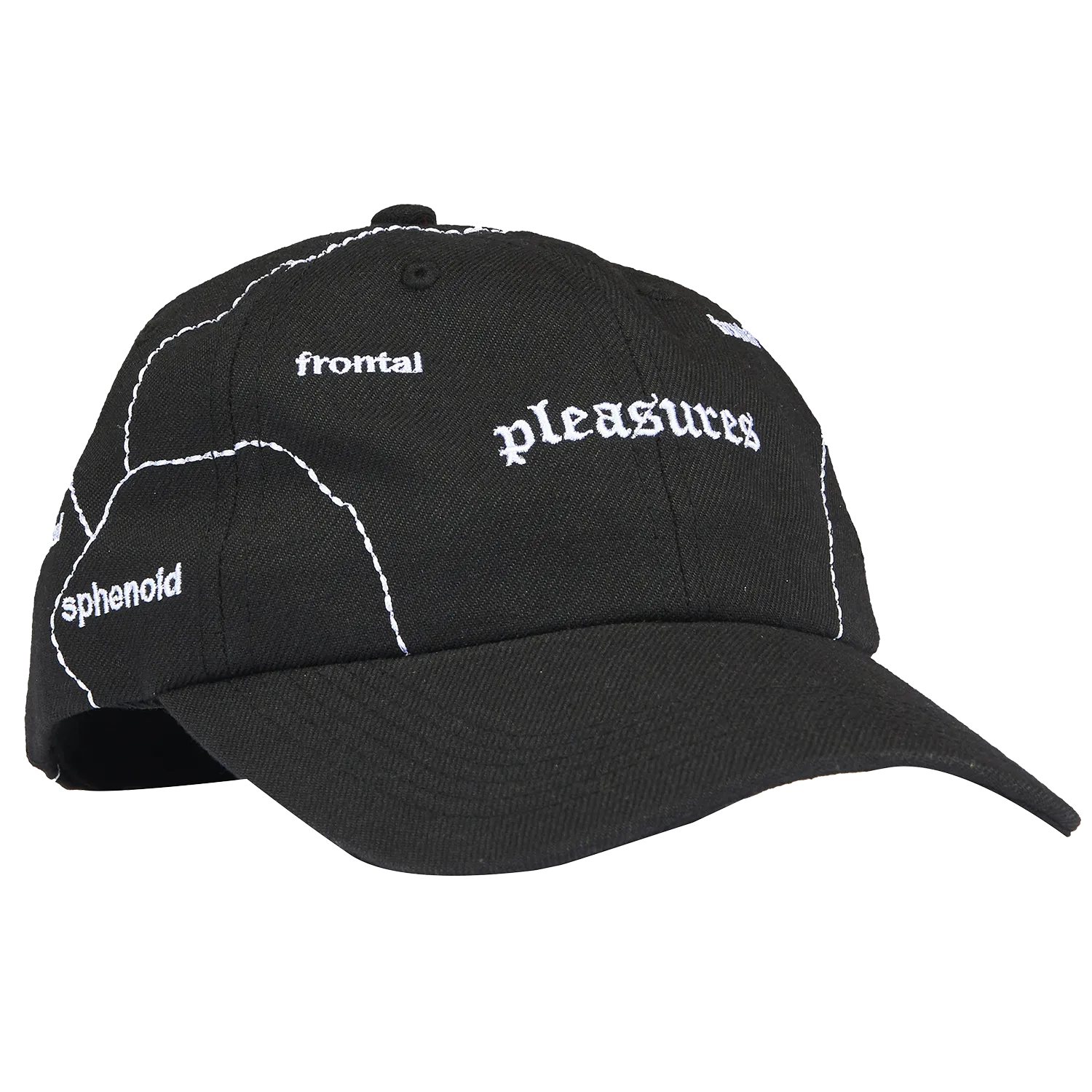 Pleasures Think 6 Panel Hat 'Black'