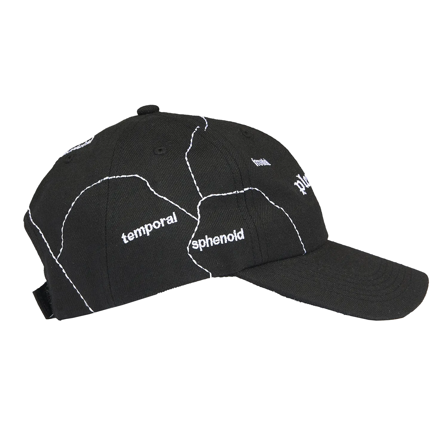 Pleasures Think 6 Panel Hat 'Black'