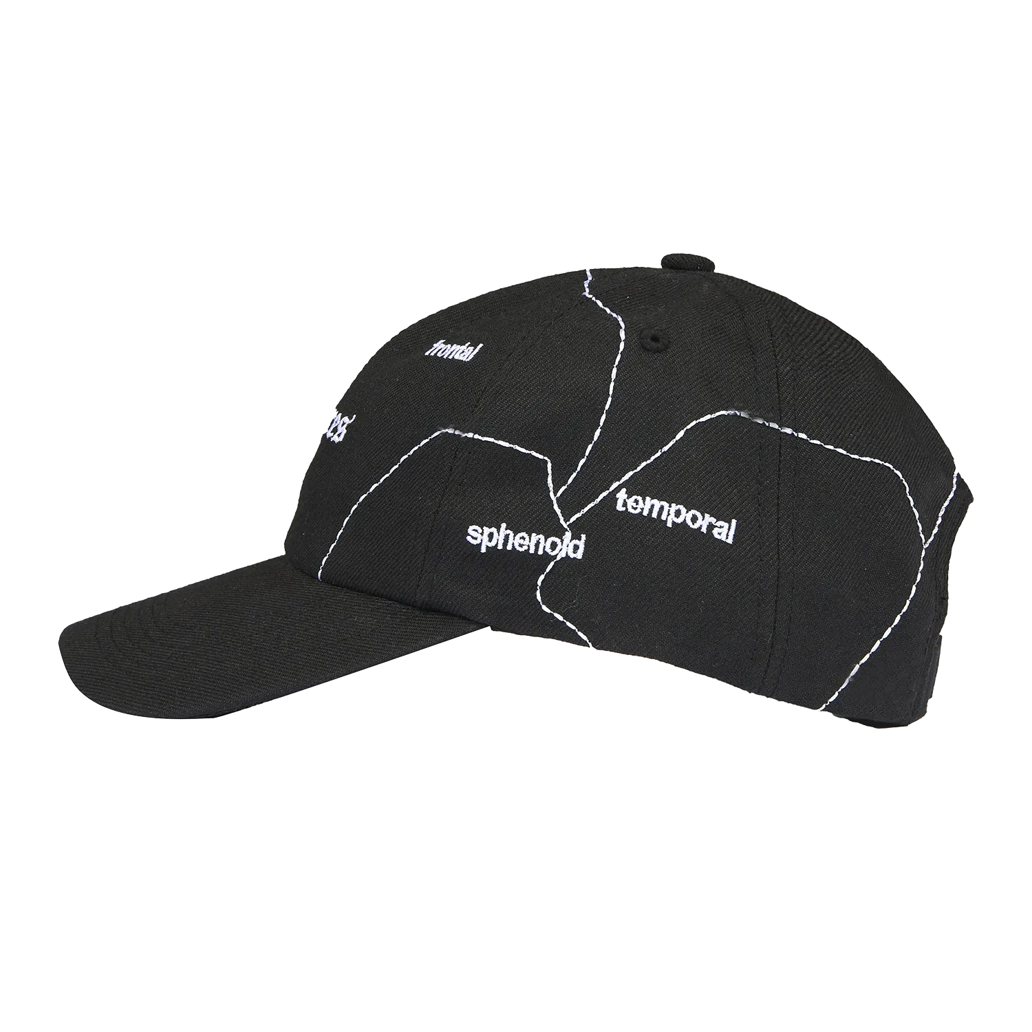 Pleasures Think 6 Panel Hat 'Black'