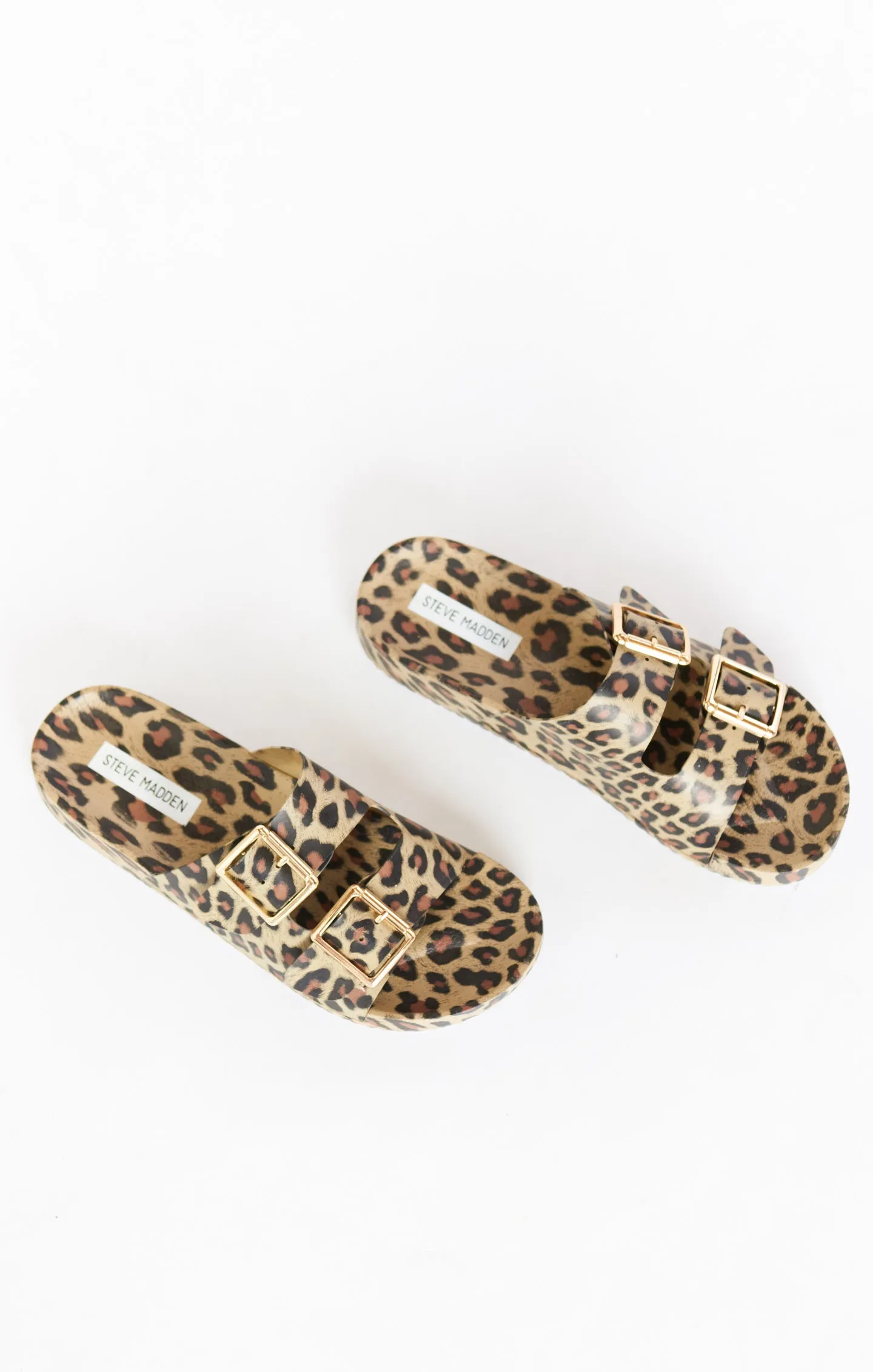 Steve Madden Evanne Slides ~ Leopard