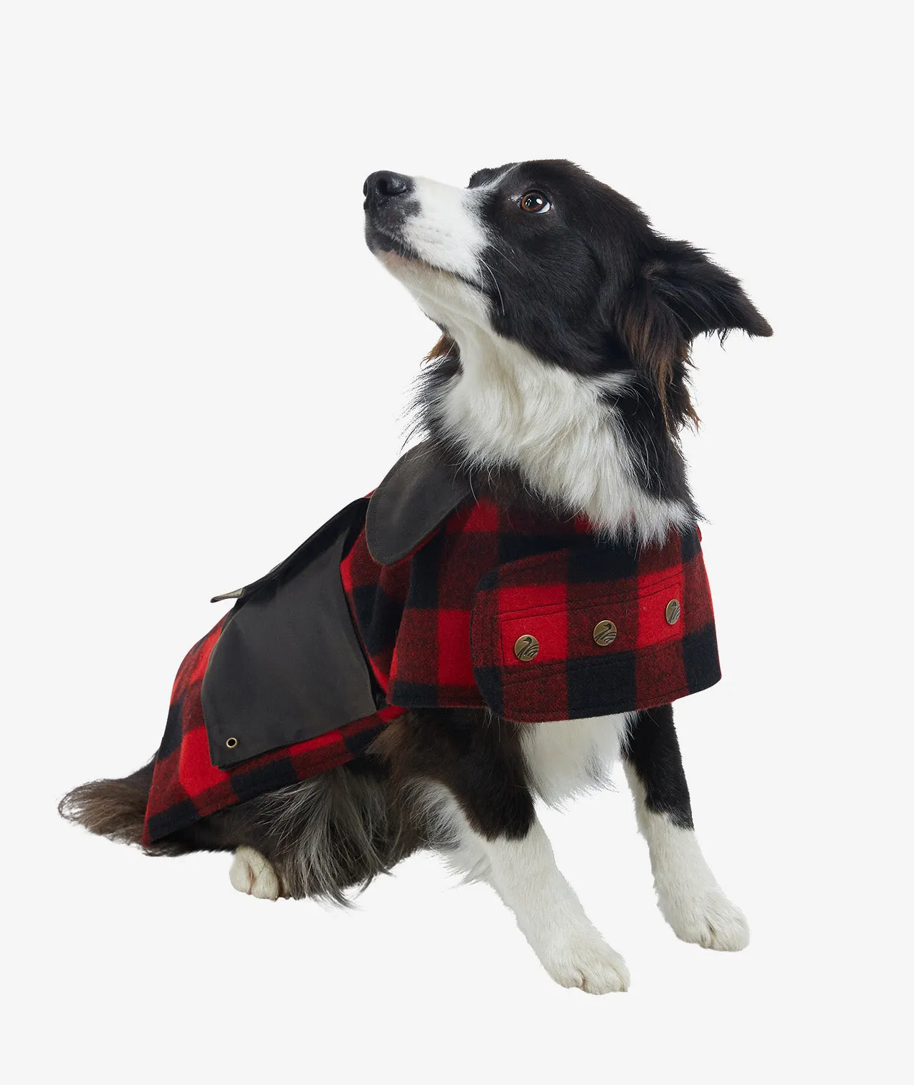 Swanndri Dog Coat - Classic Style